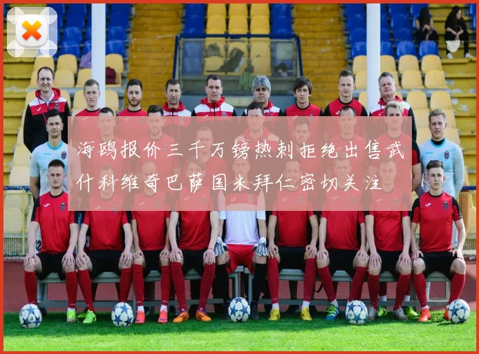 海鸥报价三千万镑热刺拒绝出售武什科维奇巴萨国米拜仁密切关注