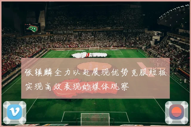 张镇麟全力以赴展现优势克服短板实现高效表现的媒体观察