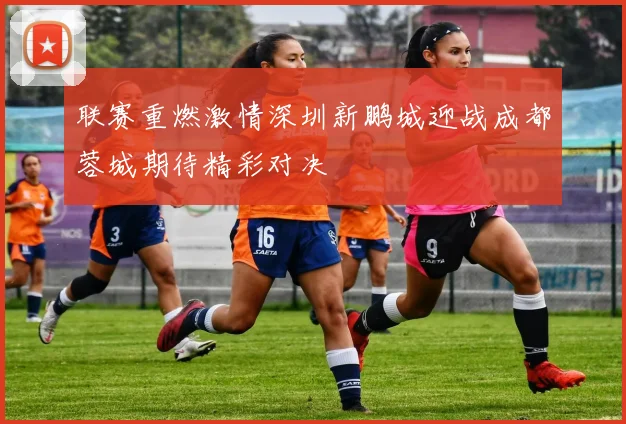 联赛重燃激情深圳新鹏城迎战成都蓉城期待精彩对决